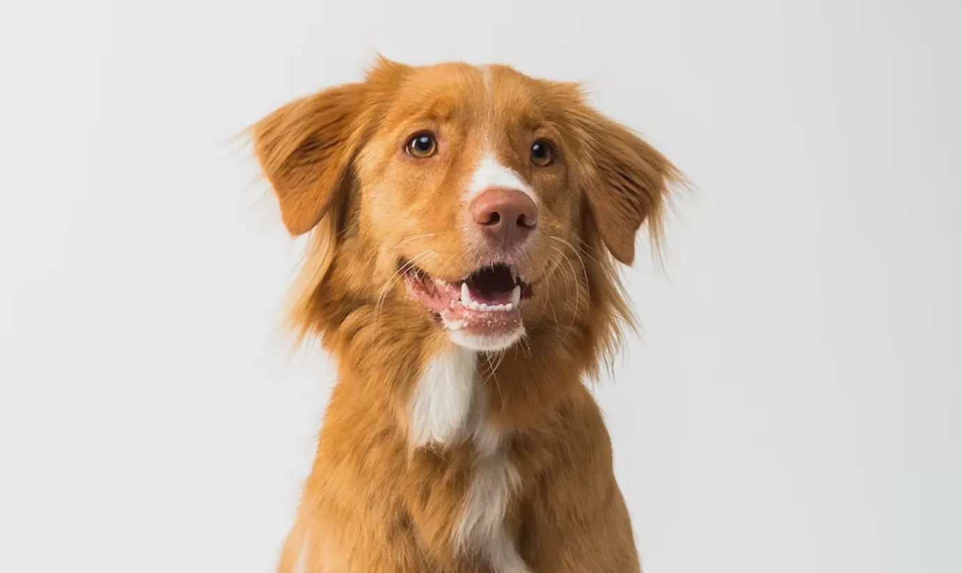 AI Generated image 0